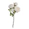 22" Artificial Cream Peony Spray - Floral Stem for Wreaths, Arrangements, & Decor -FS376037
